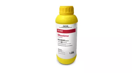 Maxtima bottle